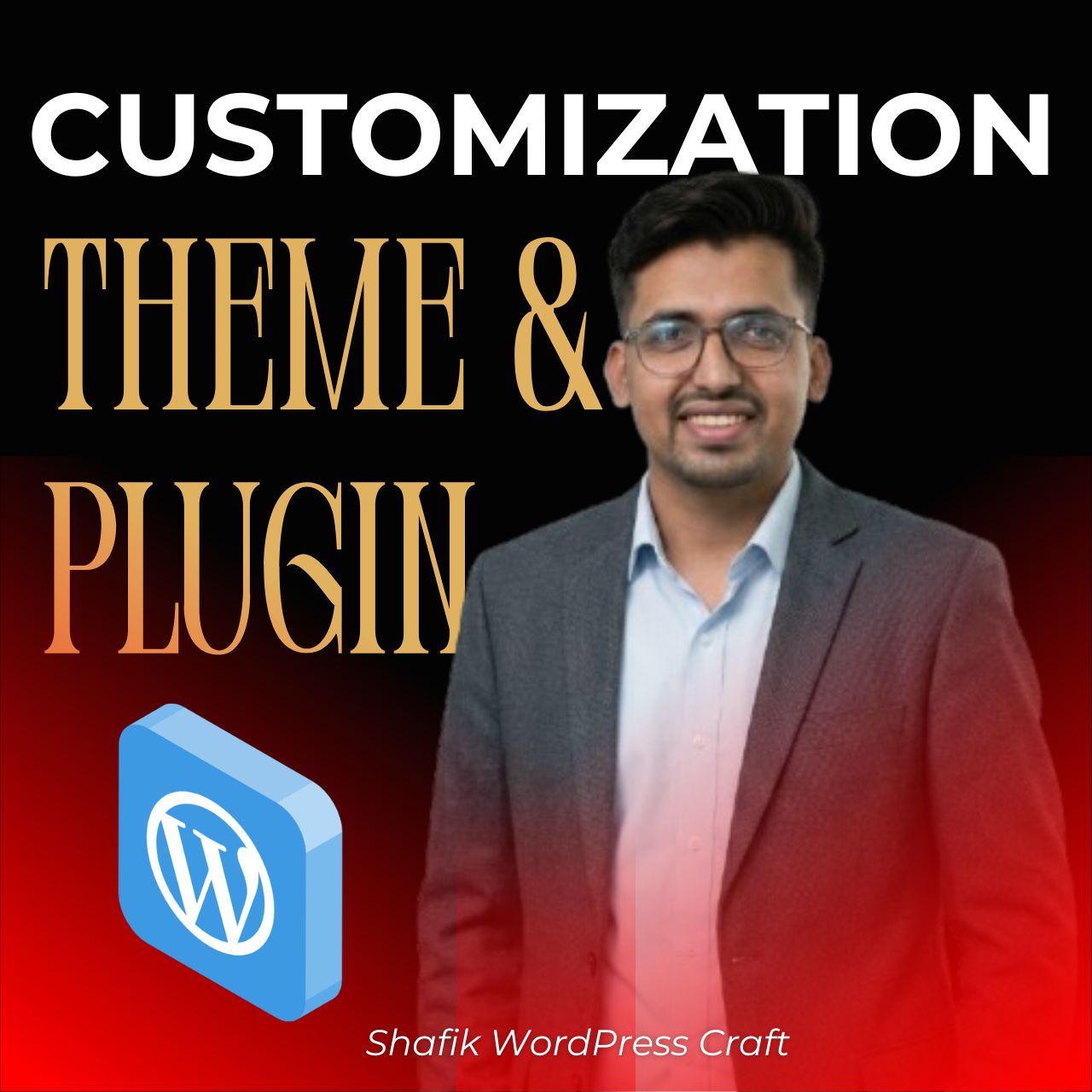 Theme Plugin Customization